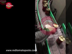 Gekonserveerde drievoudige geconcentreerde tomatenpasta 425 g hard open deksel per blik