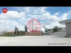 Over voedsel met rode tomaten