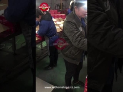 Tomatenpasta in blik